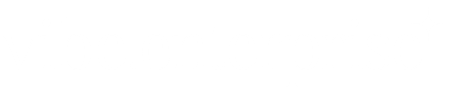 Vibe Enterprises